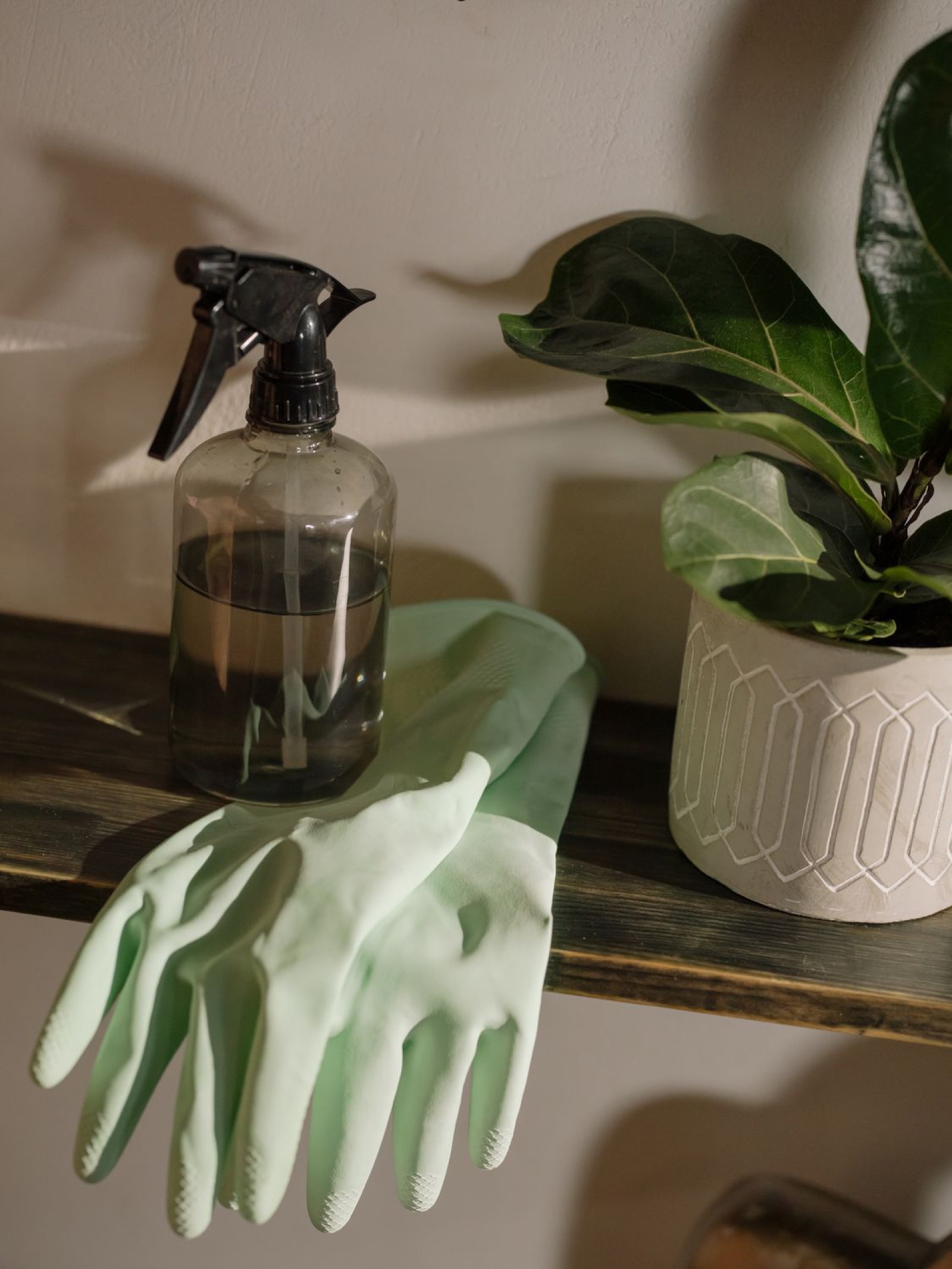 Cleaner organizing a beautiful kitchen
